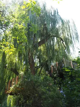 NaturOparC Hunawihr, Alsace (France)